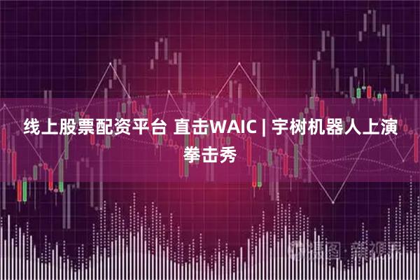 线上股票配资平台 直击WAIC | 宇树机器人上演拳击秀